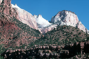 Zion Rocks