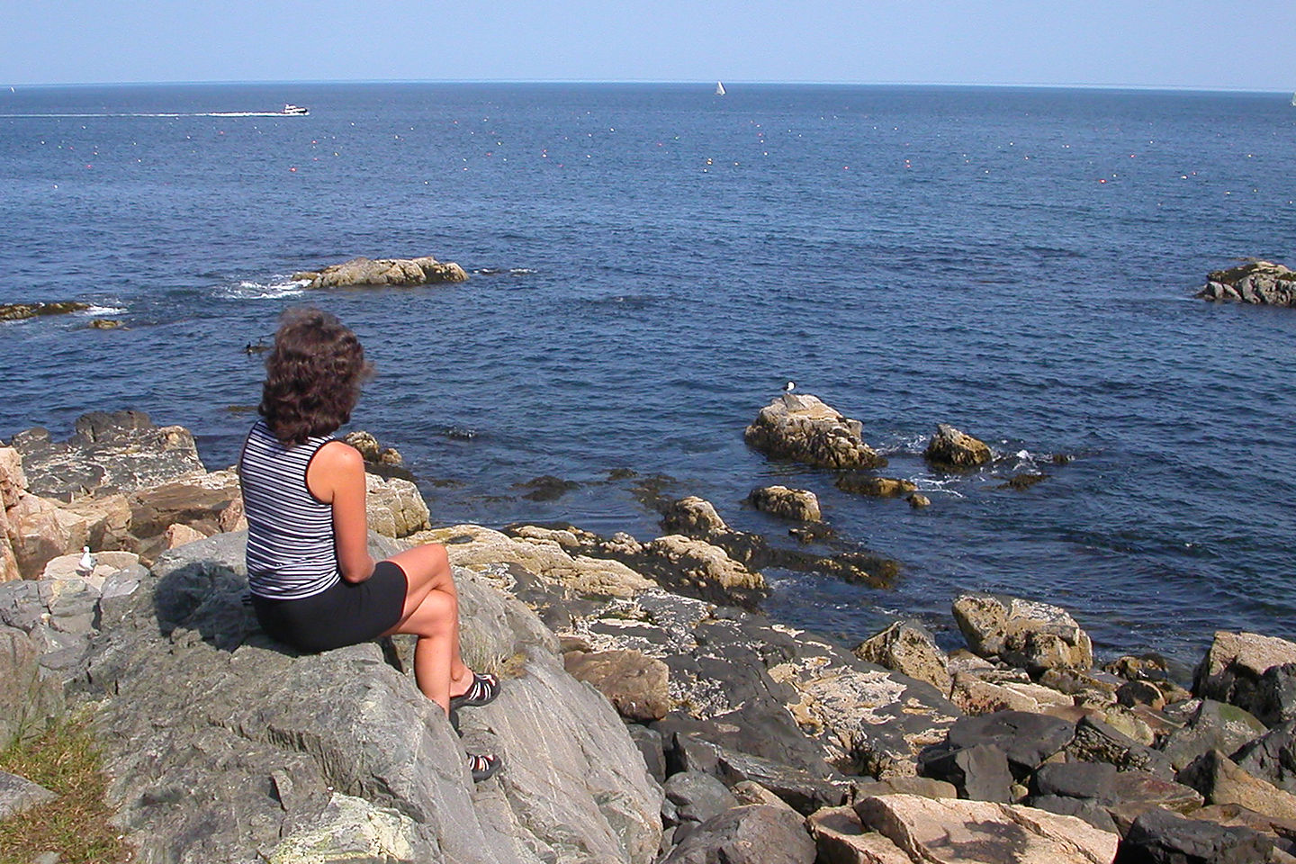 Lolo of Bar Harbor Lolo of Bar Harbor