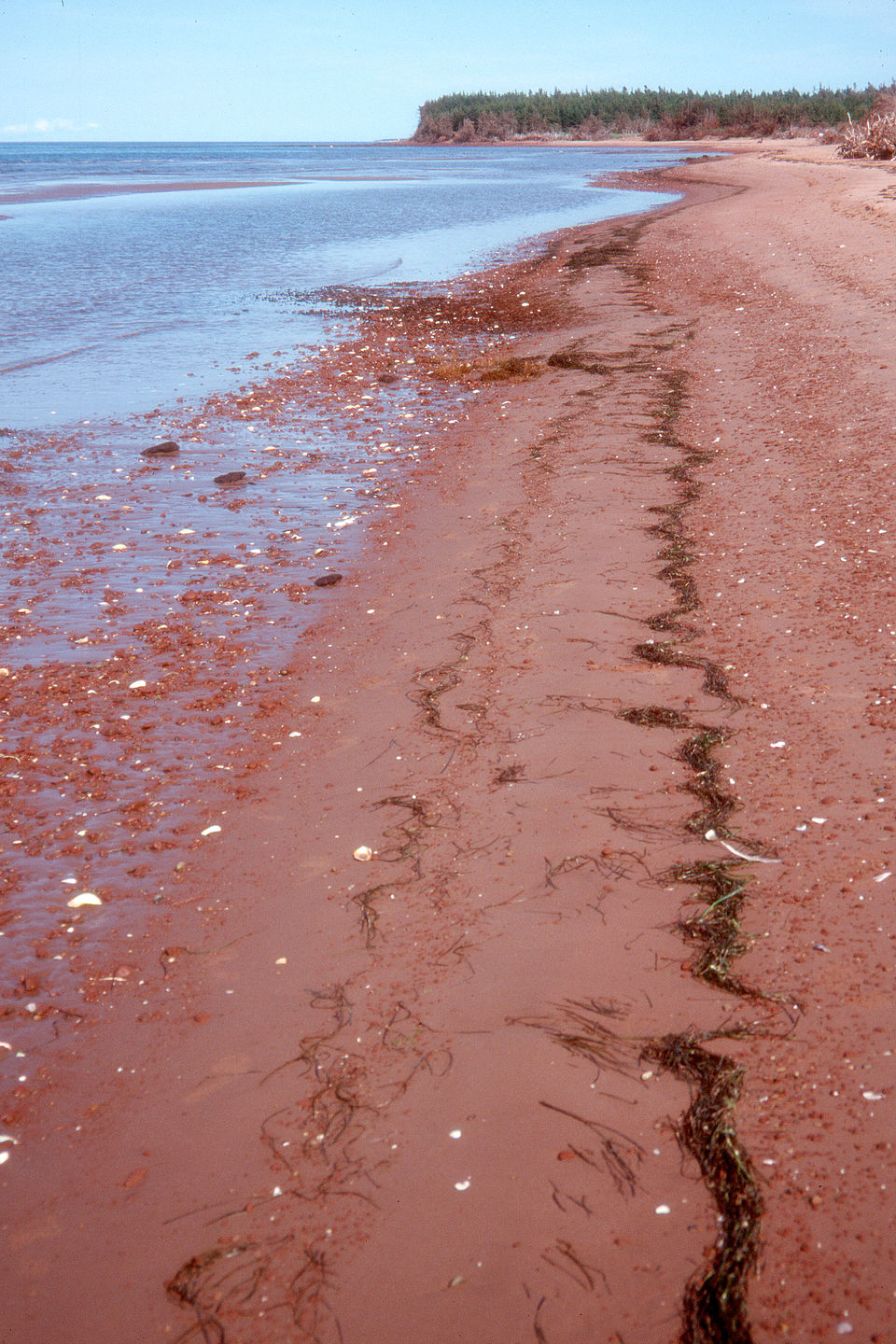 Red sand beach at Robinsons Island, PEI Red sand beach at Robinsons Island, PEI