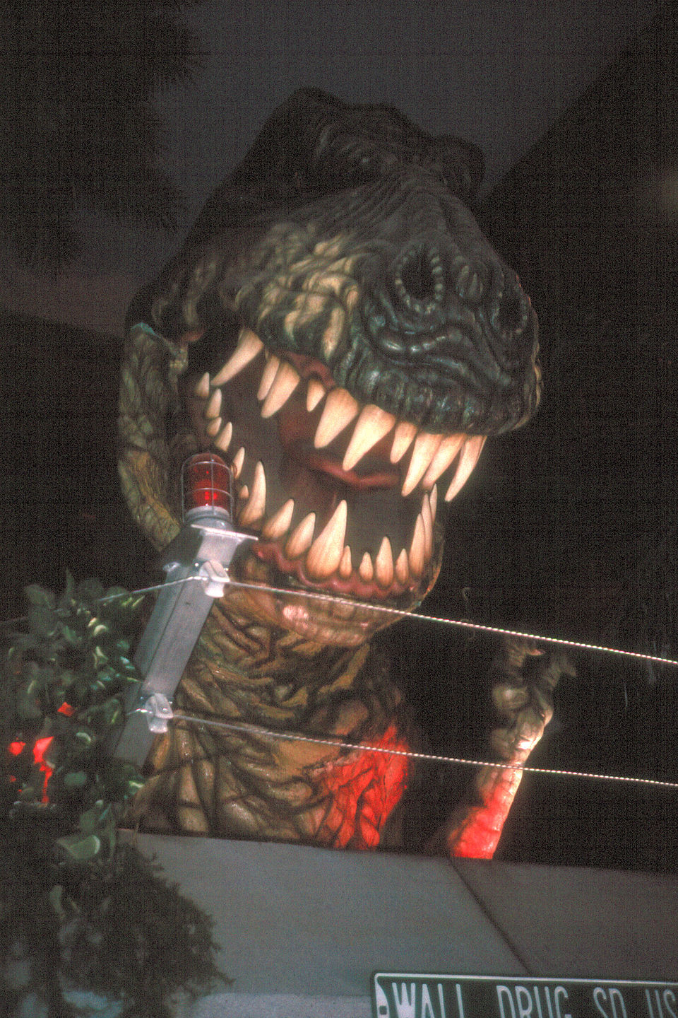T-Rex in action T-Rex in action