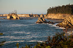 Cape Arago Lighthouse Cape Arago Lighthouse
