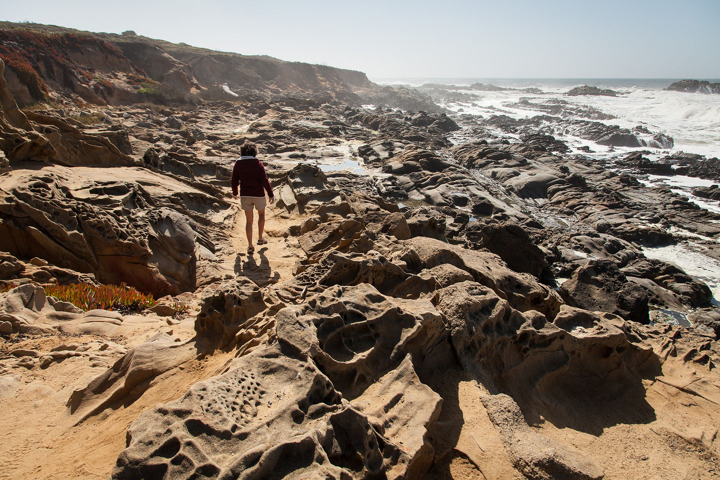 Lolo of Pebble Beach in Pescadero Lolo of Pebble Beach in Pescadero