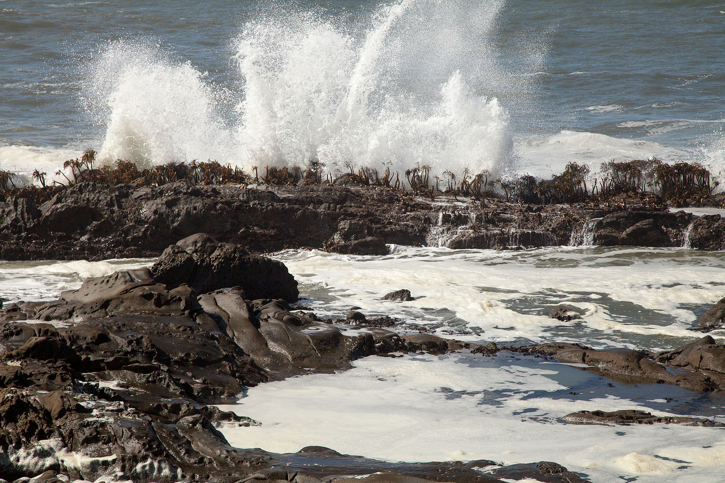 Pebble Beach Surf Pebble Beach Surf