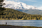 Lolo on Lake Siskiyou Shore with Mount Shasta Lolo on Lake Siskiyou Shore with Mount Shasta
