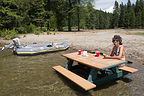 Lolo lunching on submerged Picnic Table Lolo lunching on submerged Picnic Table