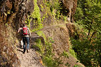 Hiking the Eagle Creek Trail carved into the Cliff Hiking the Eagle Creek Trail carved into the Cliff