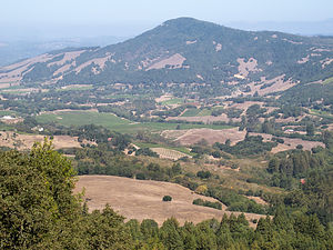 View from North Sonoma Mountain Regional Park