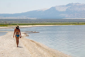 Lolo exploring Lolo exploring