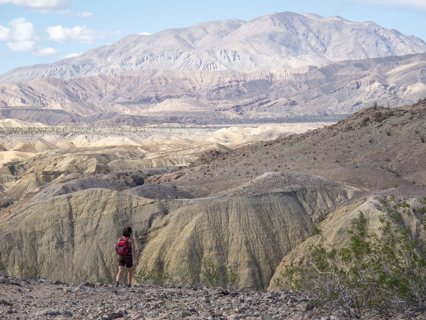 More views of Fish Creek Wash More views of Fish Creek Wash