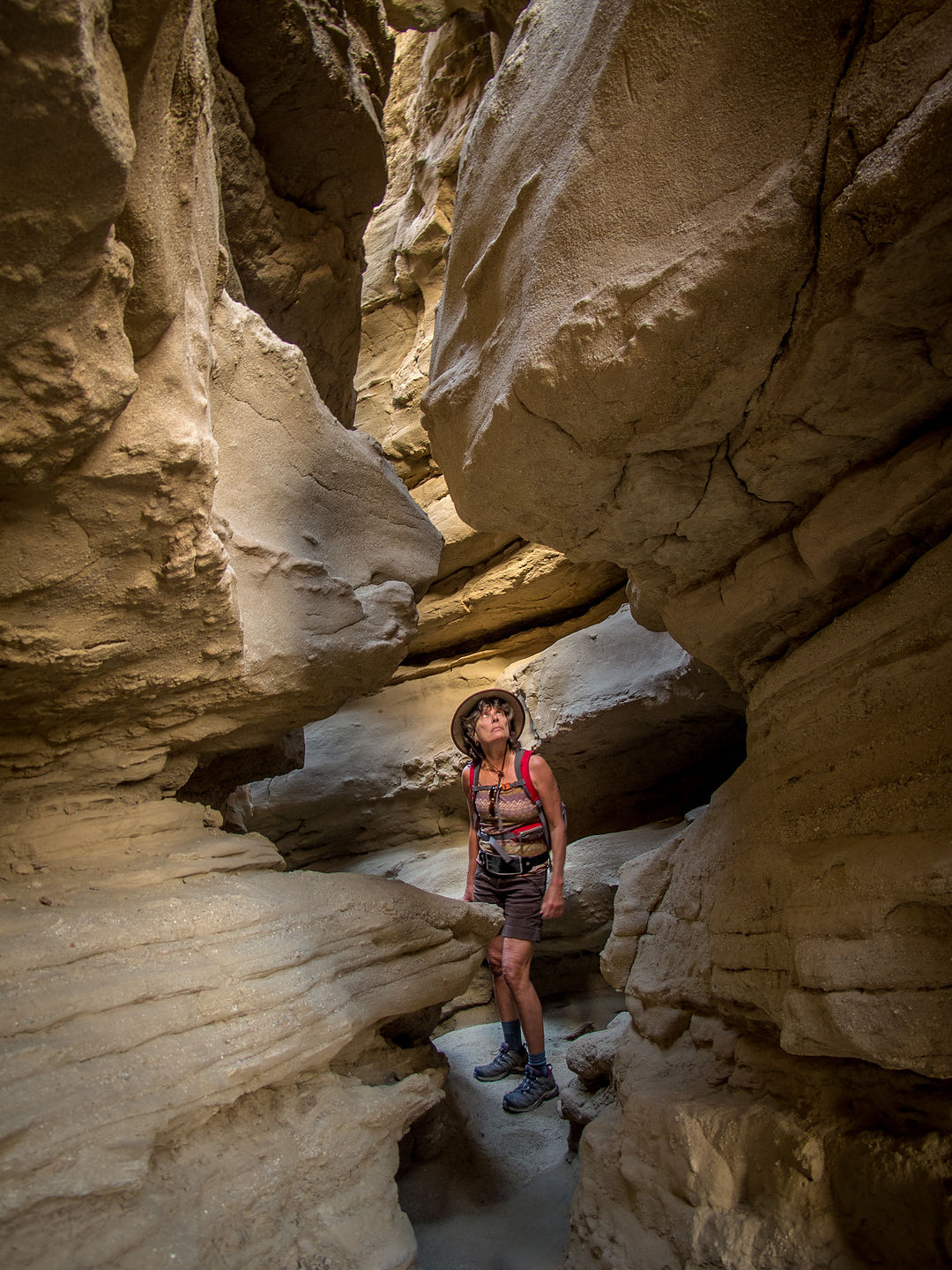 "The Slot" "The Slot"