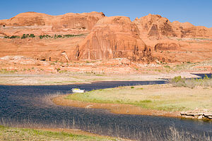 Our campsite in Chuckwalla Springs Cove Our campsite in Chuckwalla Springs Cove