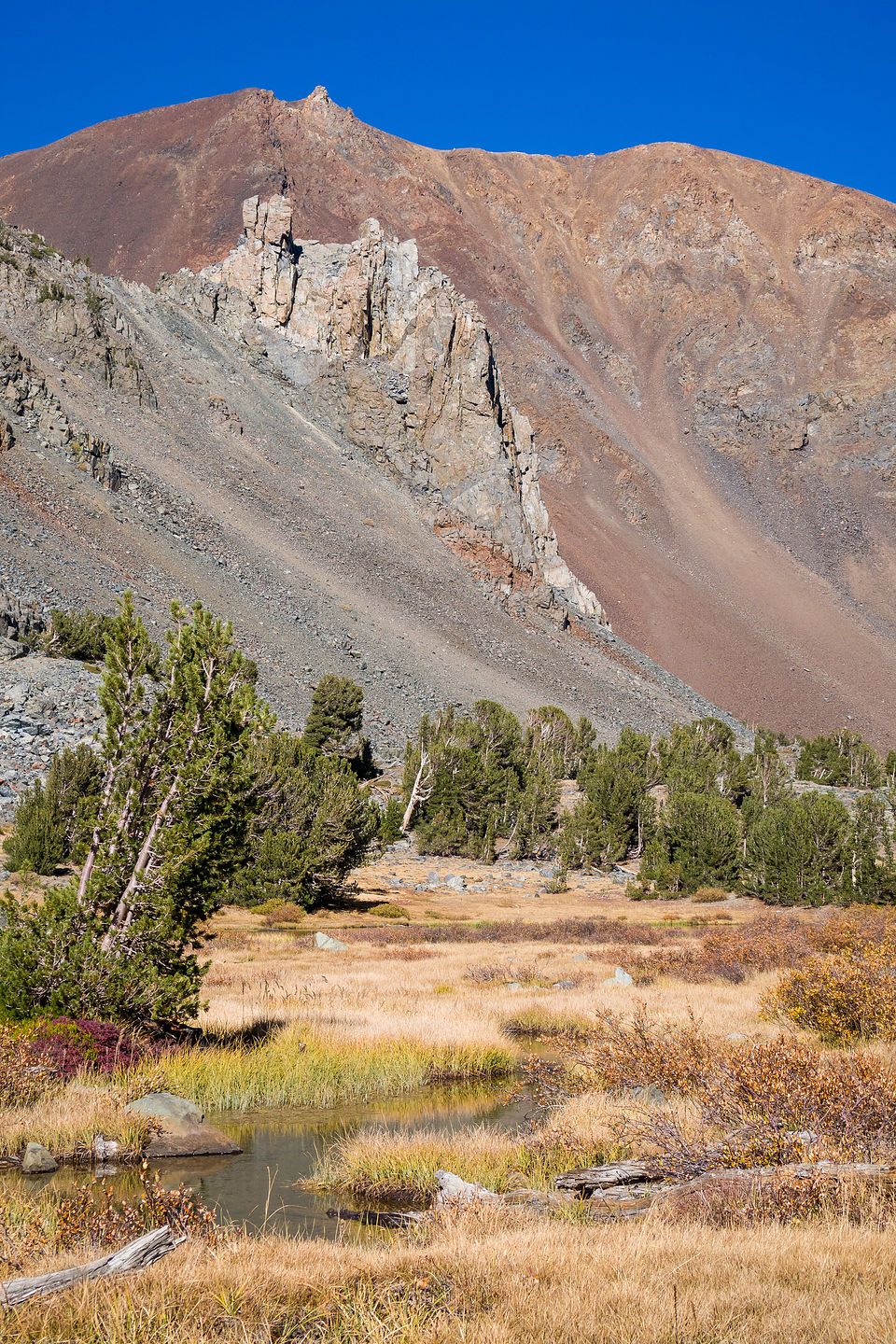 Virginia Lakes Trail Virginia Lakes Trail