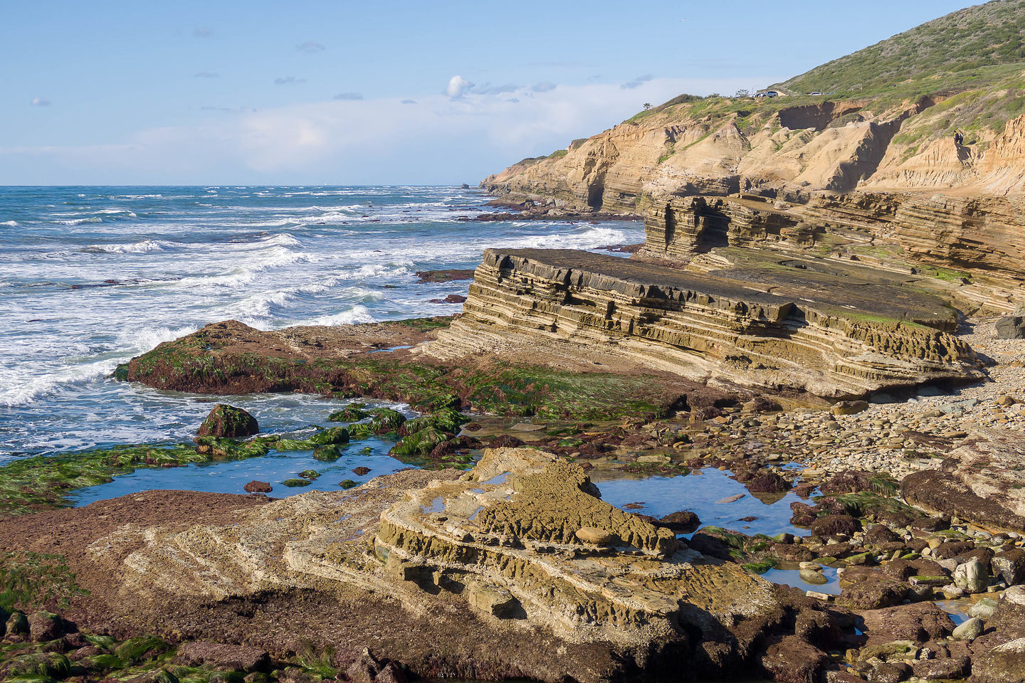 Point Loma tide pools