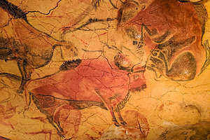 Altamira Museum and Cave Altamira Museum and Cave