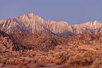 Good morning Mt. Whitney Good morning Mt. Whitney