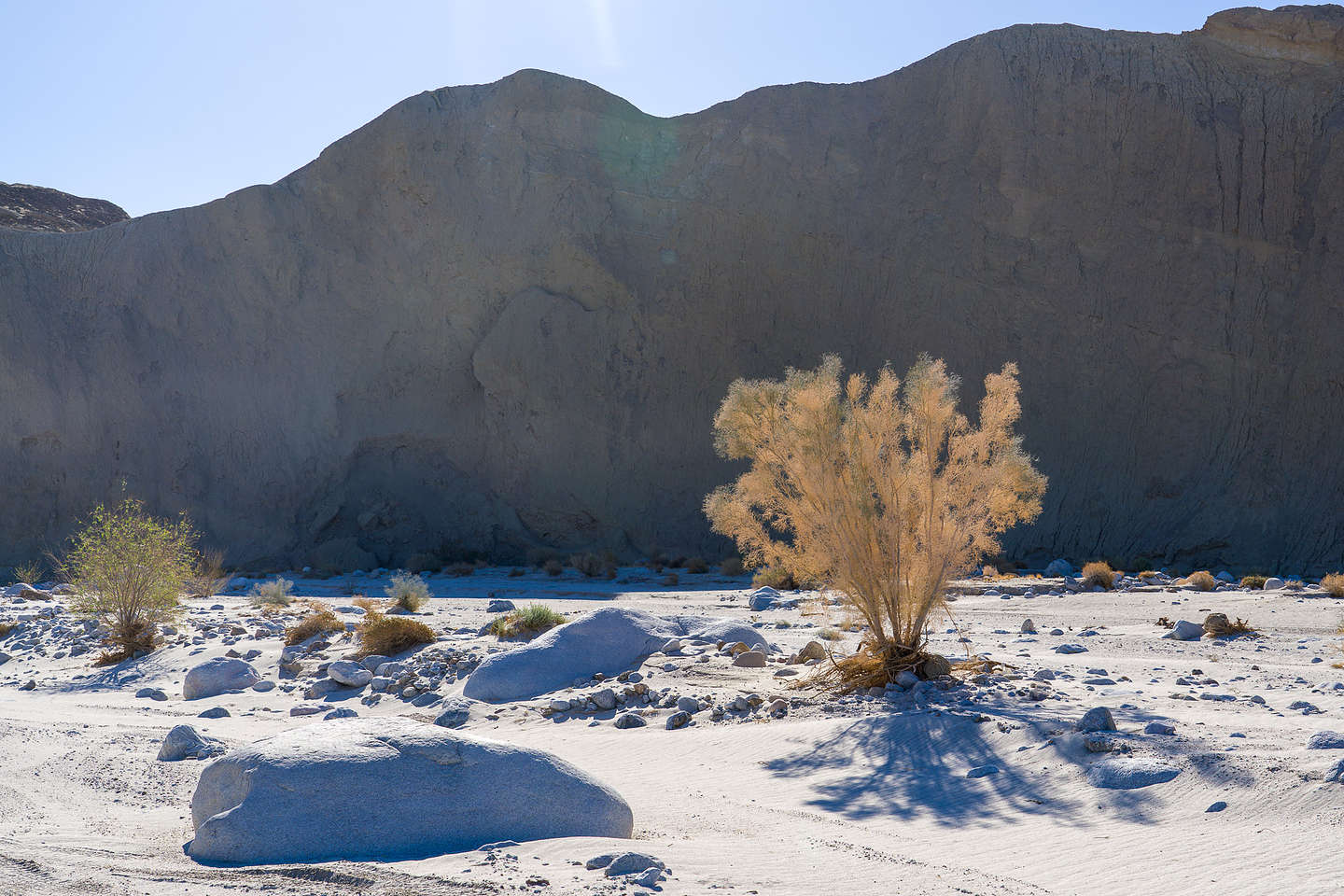 Along the Olla Wash Along the Olla Wash