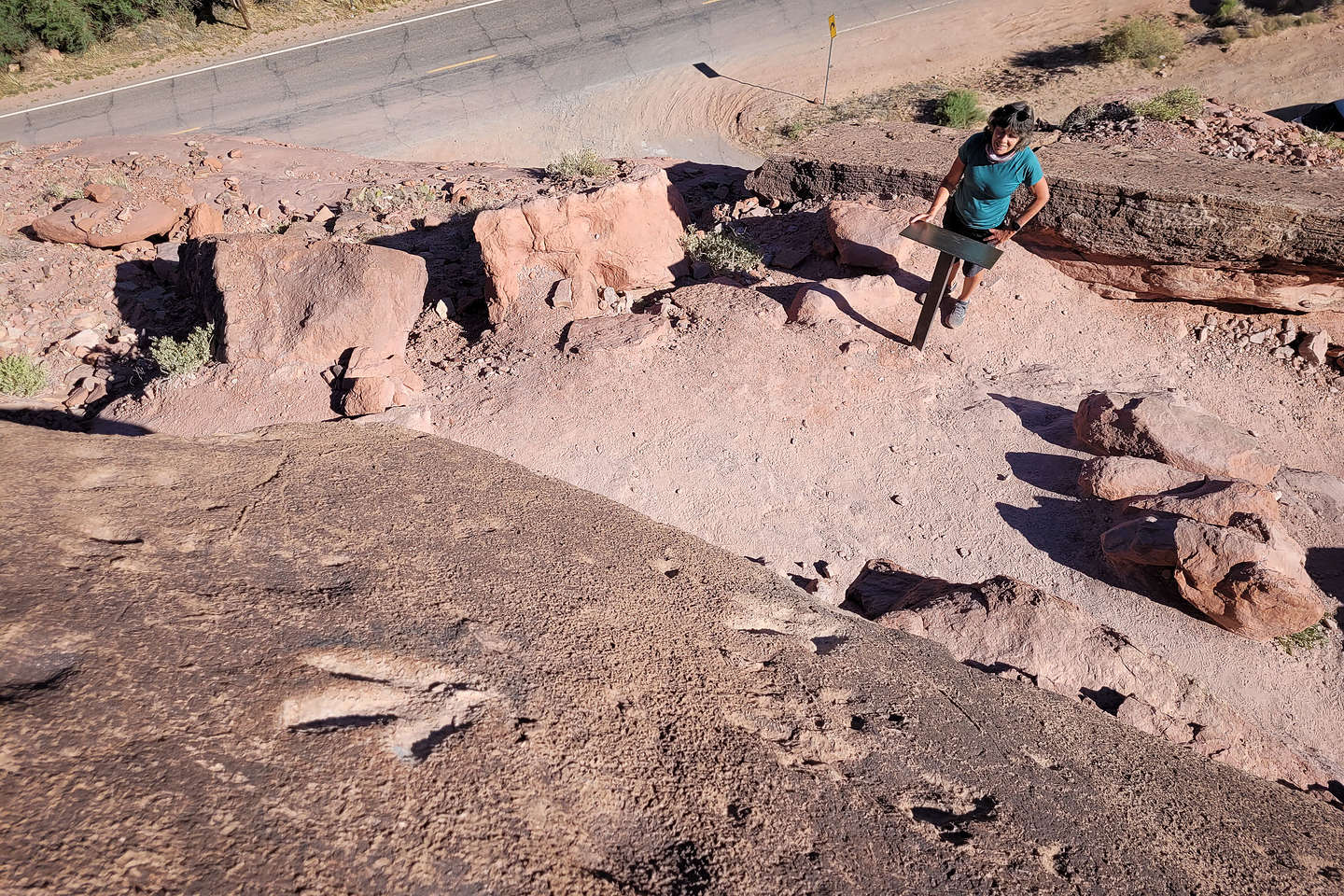 Poison Spider Mesa Dinosaur Tracks Poison Spider Mesa Dinosaur Tracks