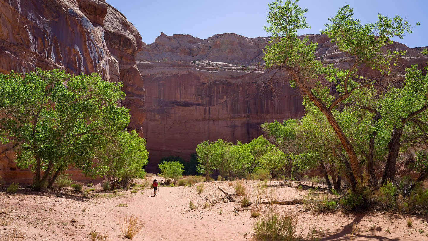 The hike out of Horseshoe Canyon The hike out of Horseshoe Canyon