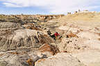 North Bisti Badlands North Bisti Badlands