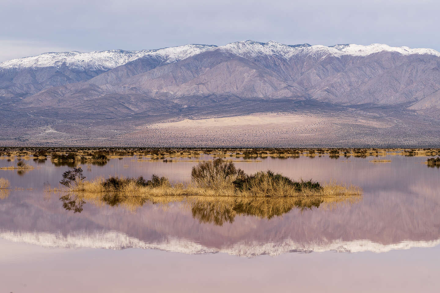 Ephemeral Pond near Panamint Springs Ephemeral Pond near Panamint Springs