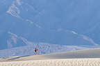 Hiking on Mesquite Dunes Hiking on Mesquite Dunes