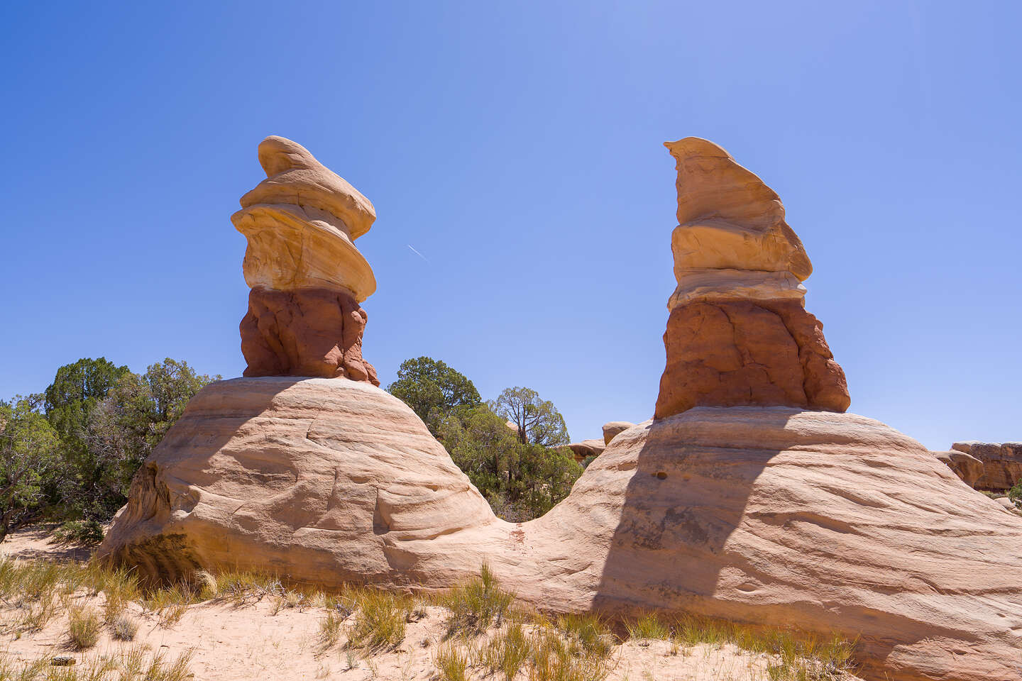 Devil's Garden Ice Cream Cones