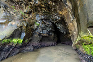 Muriwai Grotto