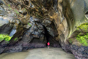 Muriwai Grotto