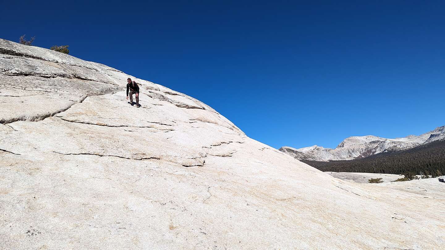 What goes up must come down What goes up must come down