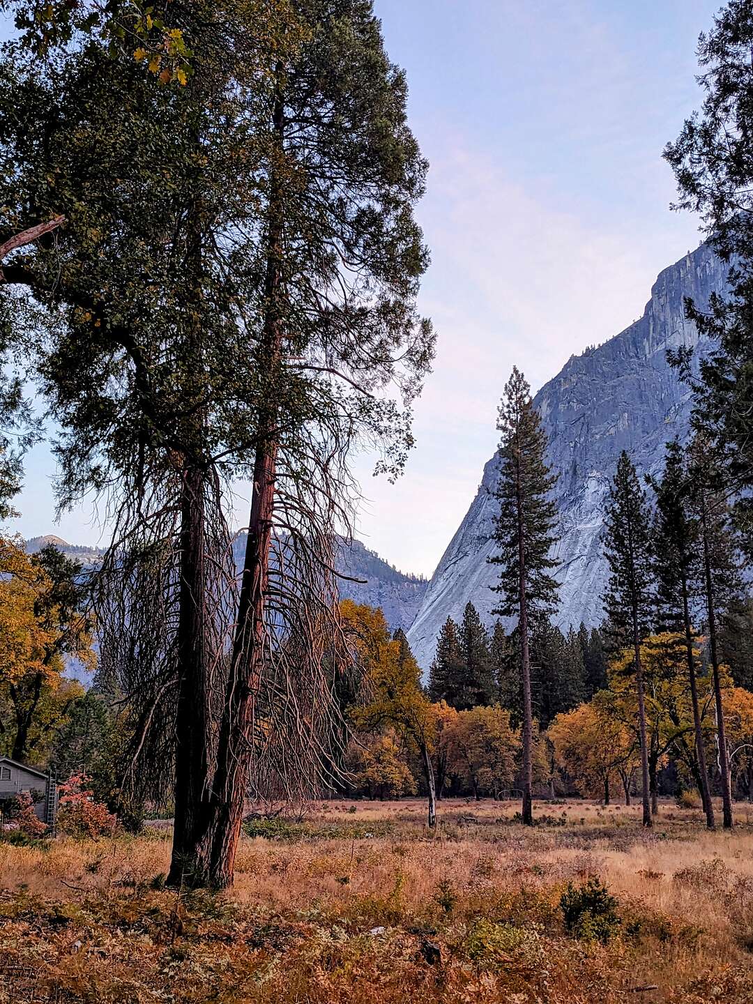 Evening walk to the Ahwahnee Evening walk to the Ahwahnee