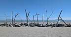 Hokitika driftwood welcome