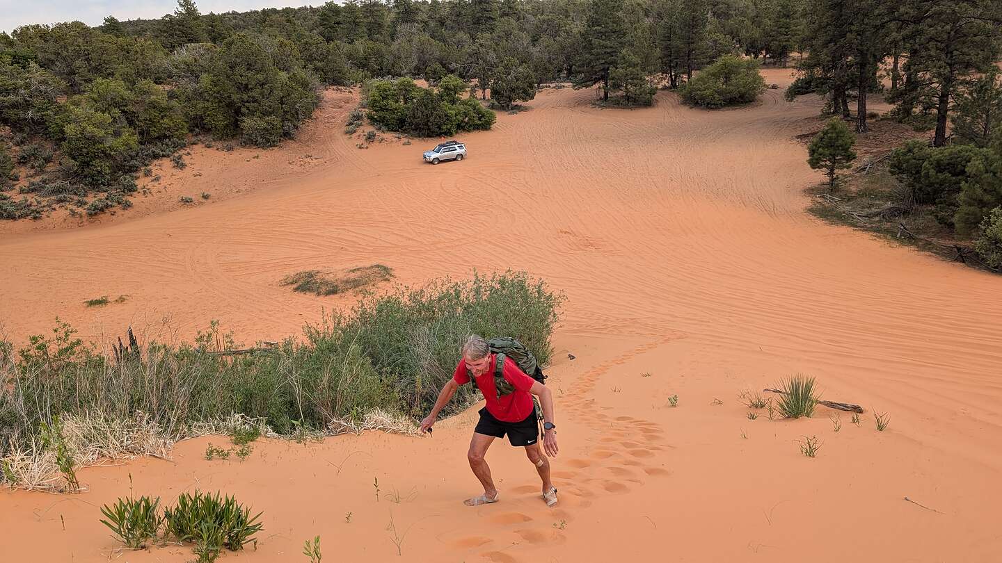 Conquering the dunes on foot
