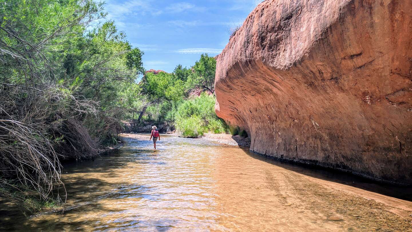 Fording the shallow Escalante River Fording the shallow Escalante River