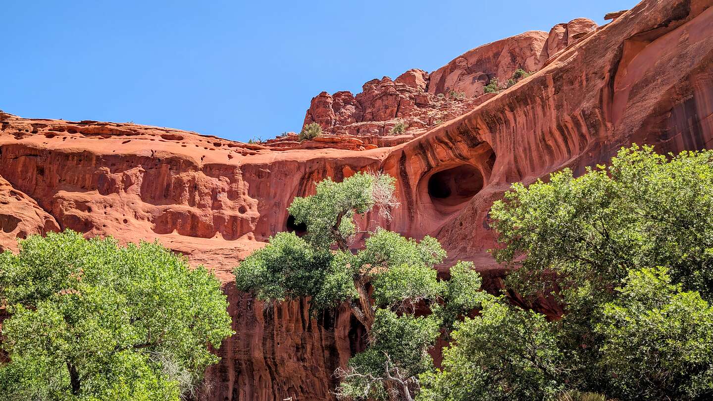 Entering Neon Canyon