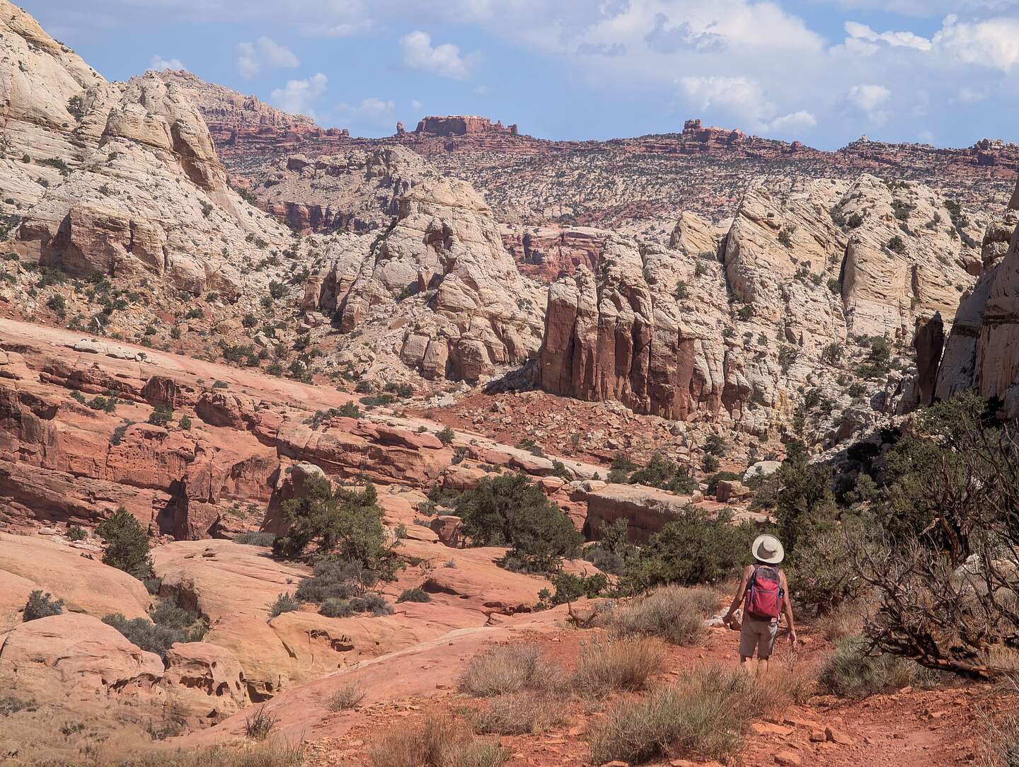 Getting closer to the Knobs