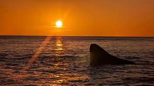 Moshup Beach at Sunset Moshup Beach at Sunset