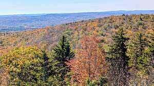 View from atop the fire tower View from atop the fire tower