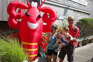 The Sea Shanty Lobster The Sea Shanty Lobster