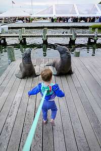 Nora on her way to the wedding