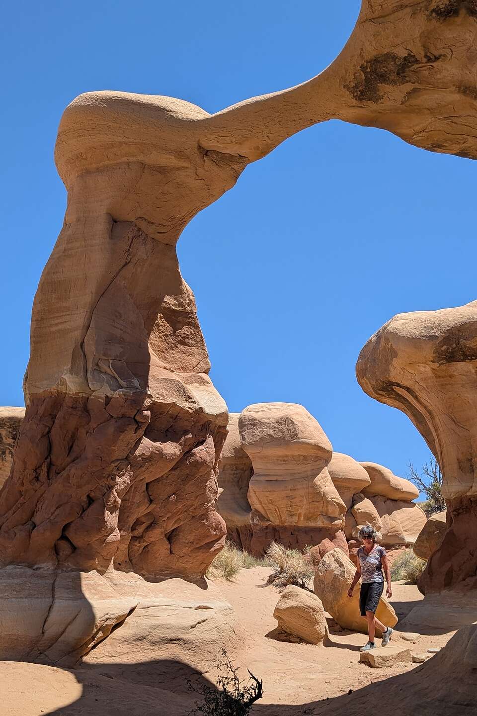 Metate Arch in Devil's Garden