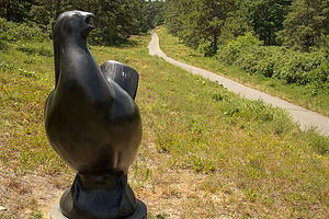 &quot;Boomer&quot; and State Forest Trail