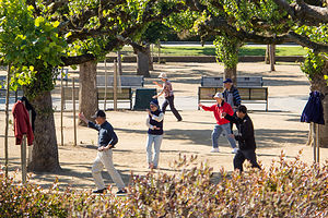 Tai Chi in Golden Gate Park