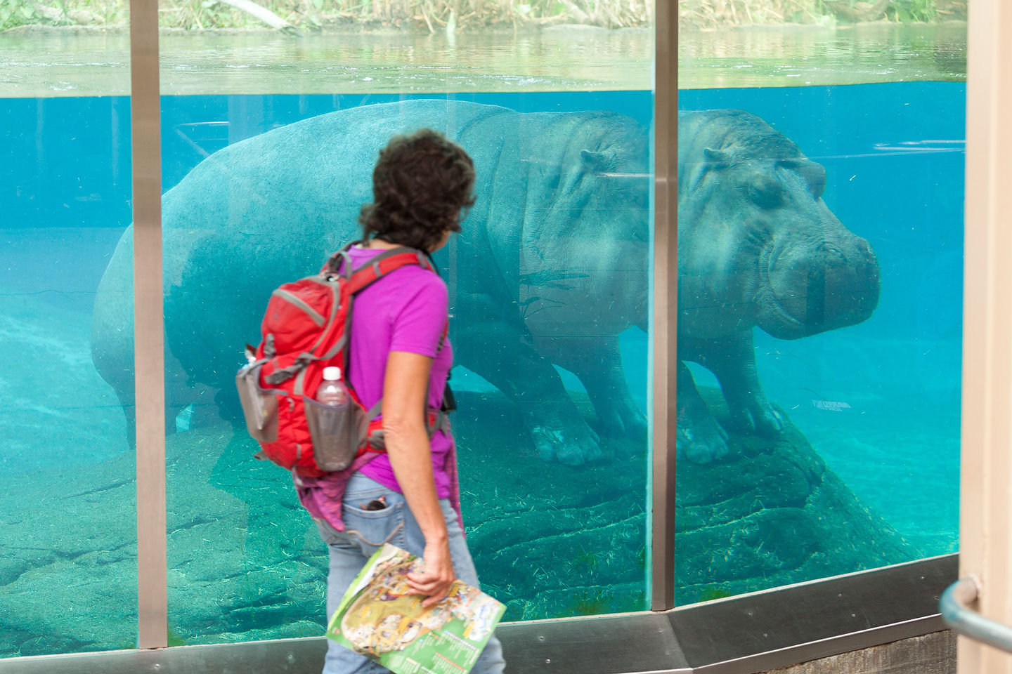 Lolo with Hippo Lolo with Hippo