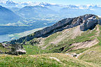 The switchbacks up Mt. Pilatus The switchbacks up Mt. Pilatus