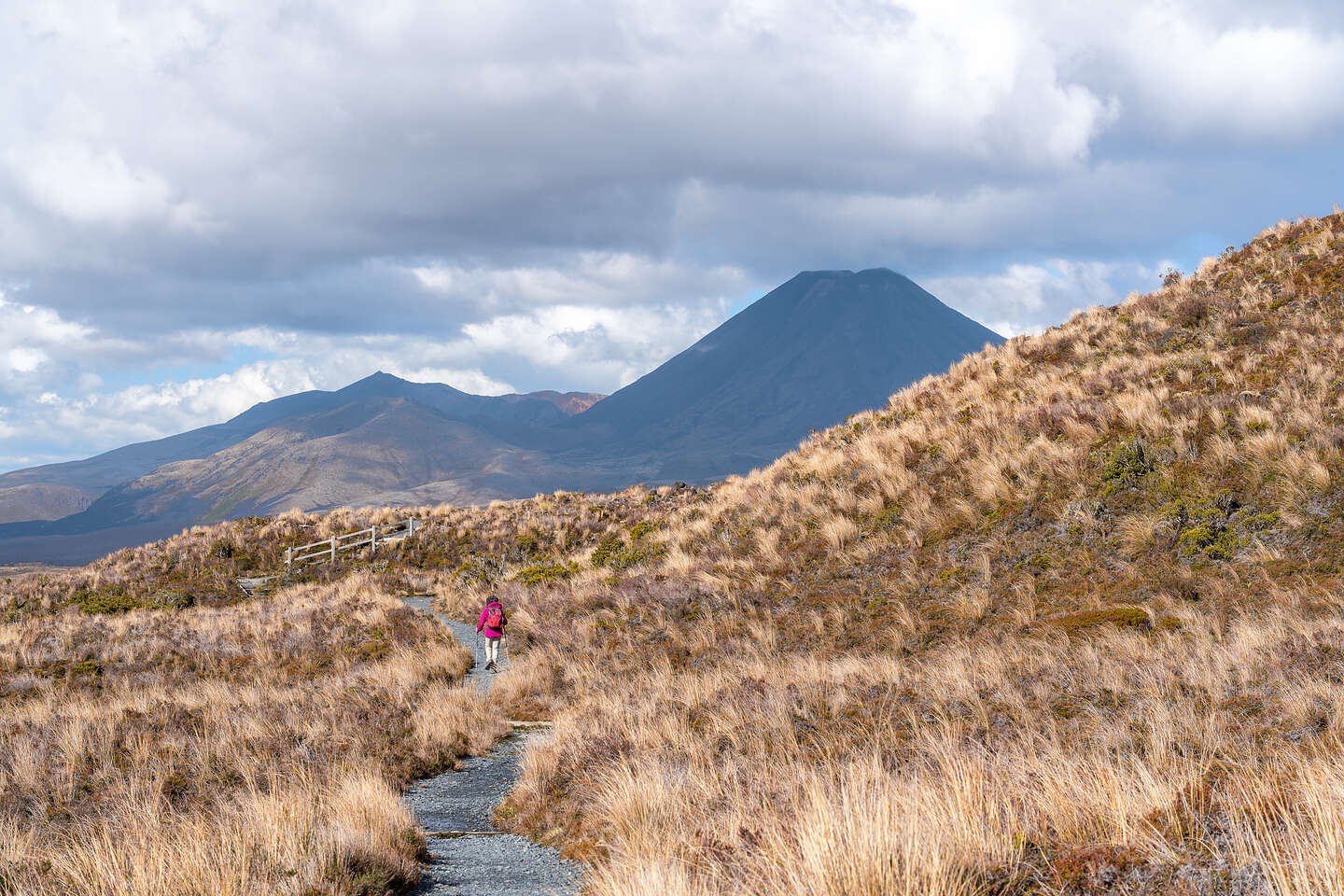 Through the Red Tussock