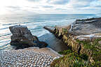 Muriwai Cliffs Muriwai Cliffs