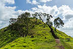 Mangere Mountain Mangere Mountain