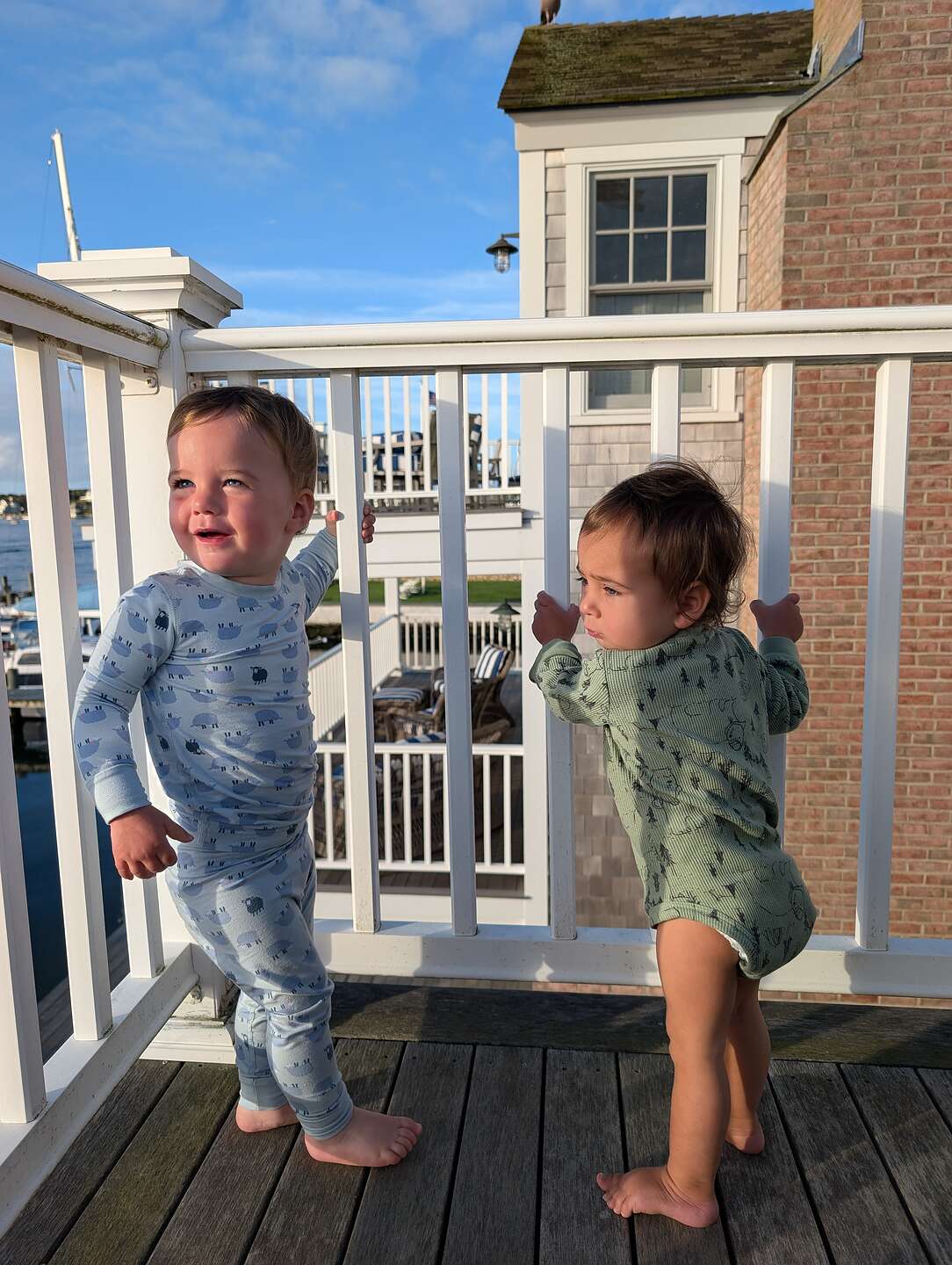 "Out-doo" to visit their bird friend