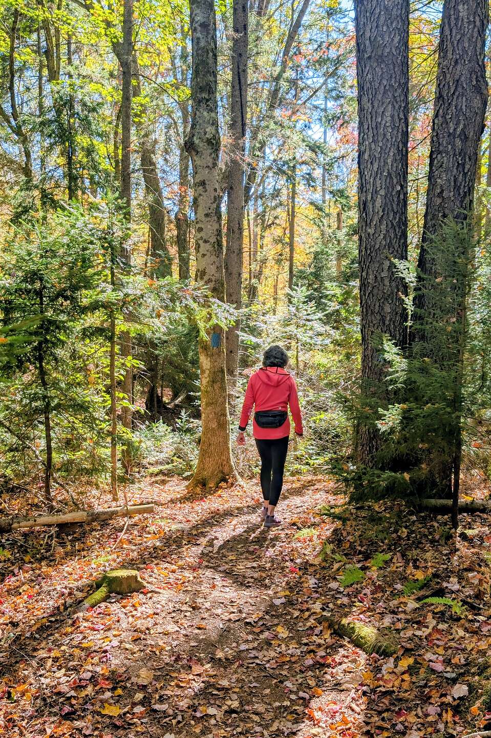 Setting off on the Mt. Olga Trail