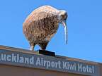 Land of the Kiwi